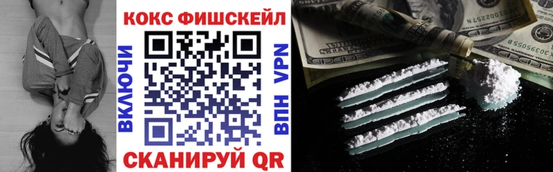 COCAIN FishScale  Купить закладки  Набережные Челны 