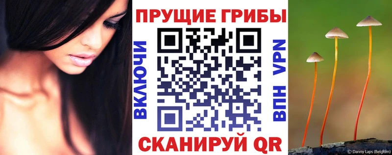 Купить  Набережные Челны  Галлюциногенные грибы MAGIC MUSHROOMS 